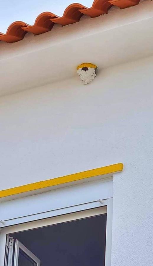 Casa Do Ninho - Entre O Campo E A Praia Cadaval Eksteriør billede